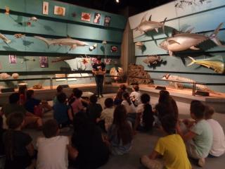 Visita al Museo di Storia naturale