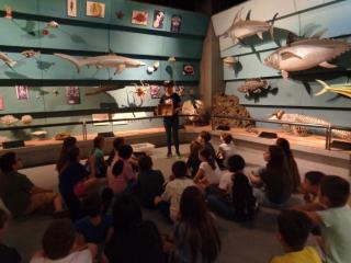Visita al Museo di Storia naturale