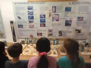 Visita al Museo di Storia naturale