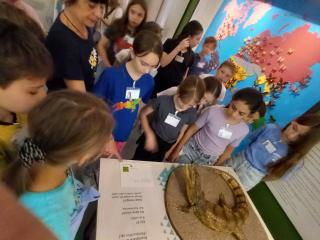 Visita al Museo di Storia naturale