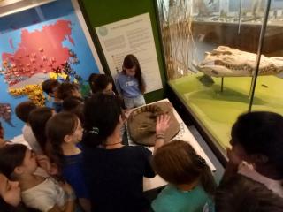 Visita al Museo di Storia naturale
