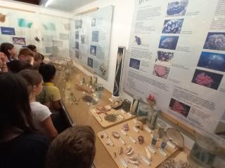 Visita al Museo di Storia naturale
