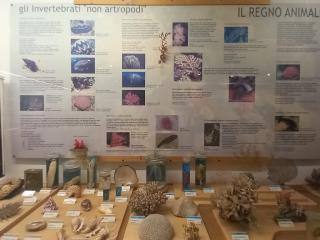Visita al Museo di Storia naturale