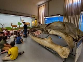 Visita al Museo di Storia naturale