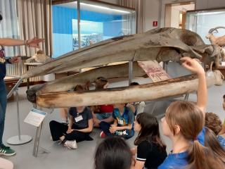 Visita al Museo di Storia naturale