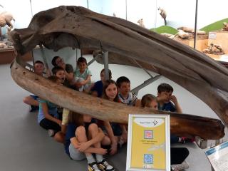 Visita al Museo di Storia naturale