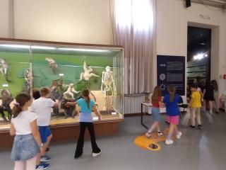 Visita al Museo di Storia naturale