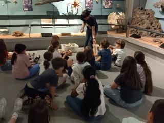 Visita al Museo di Storia naturale