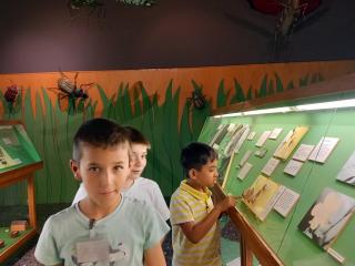 Visita al Museo di Storia naturale