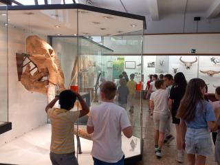 Visita al Museo di Storia naturale