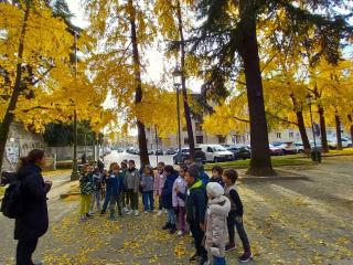 Lungo il fiume Adige