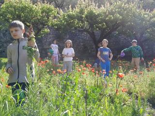La tisana con le erbe aromatiche