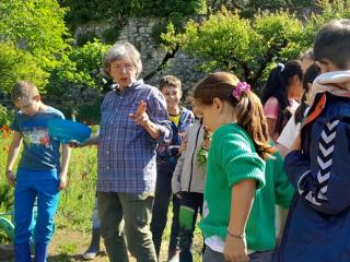La tisana con le erbe aromatiche