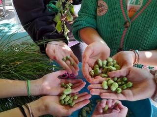 La tisana con le erbe aromatiche
