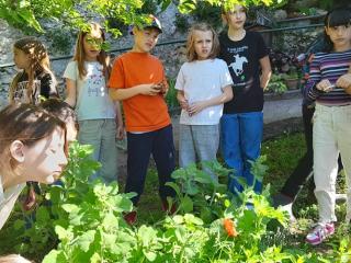 La tisana con le erbe aromatiche