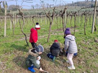 Progetto Orto didattico - Primaria Montorio