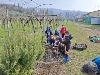 Progetto Orto didattico - Primaria Montorio