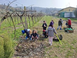 Progetto Orto didattico - Primaria Montorio