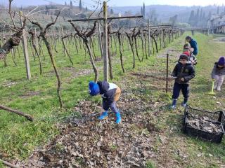 Progetto Orto didattico - Primaria Montorio