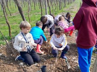 Progetto Orto didattico - Primaria Montorio