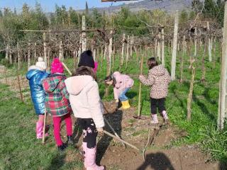 Progetto Orto didattico - Primaria Montorio