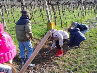 Progetto Orto didattico - Primaria Montorio