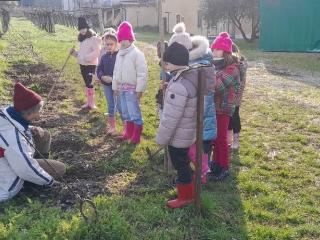 Progetto Orto didattico - Primaria Montorio