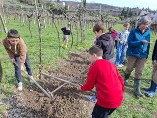 Progetto Orto didattico - Primaria Montorio