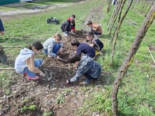 Progetto Orto didattico - Primaria Montorio