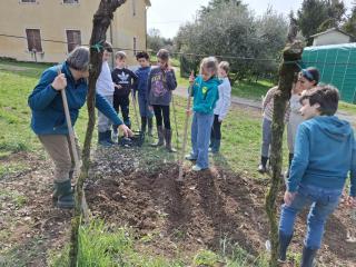 Progetto Orto didattico - Primaria Montorio