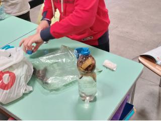 Come si forma il biogas?