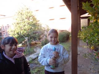 Come si forma il biogas?