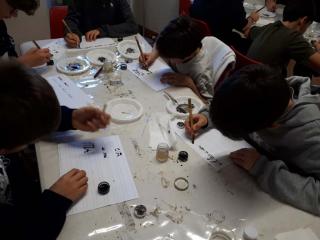 Alla Biblioteca Capitolare 