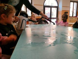 Osserviamo l’acqua