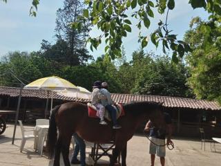 Alla Vecchia fattoria