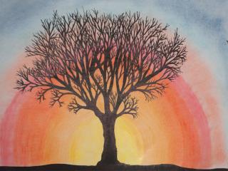 Struttura albero in inverno