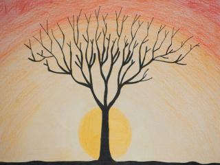 Struttura albero in inverno