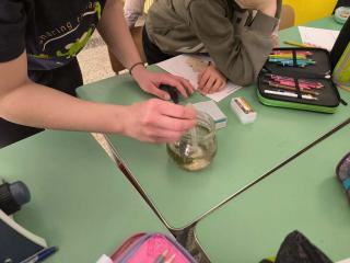 Viaggio nel mondo invisibile