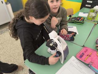 Viaggio nel mondo invisibile