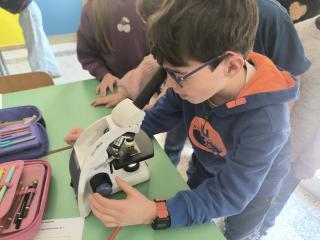 Viaggio nel mondo invisibile