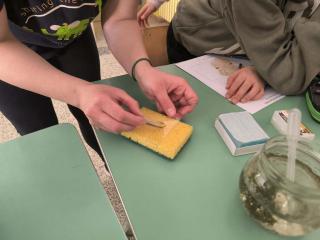 Viaggio nel mondo invisibile