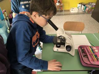 Viaggio nel mondo invisibile