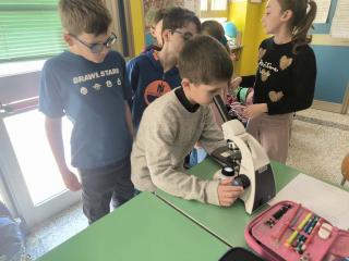 Viaggio nel mondo invisibile