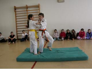 Conclusione laboratorio "Conosci il karate?"