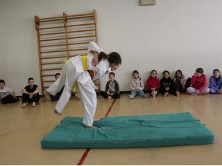 Conclusione laboratorio "Conosci il karate?"