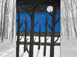 Paesaggio notturno invernale