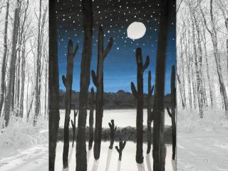 Paesaggio notturno invernale