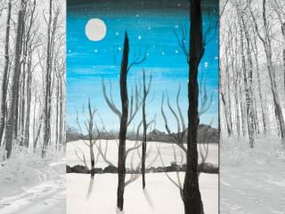 Paesaggio notturno invernale