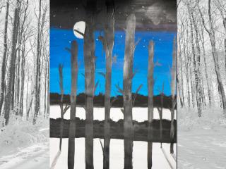 Paesaggio notturno invernale