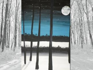 Paesaggio notturno invernale